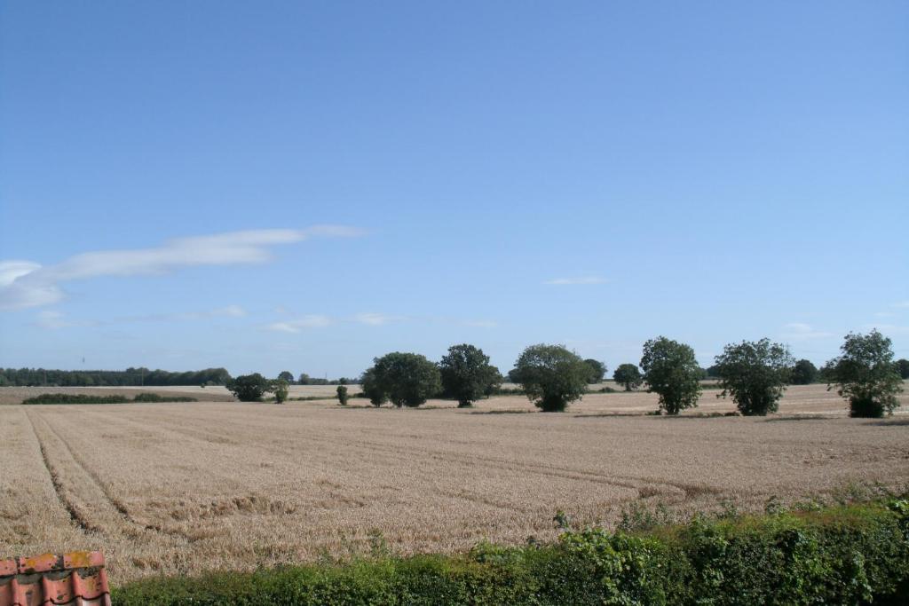 Yaxham Mill Bed and Breakfast Dereham Buitenkant foto